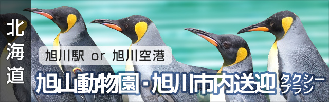 [北海道][定額][旭川駅 or 旭川空港]旭山動物園送迎タクシープラン